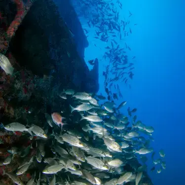 ship image